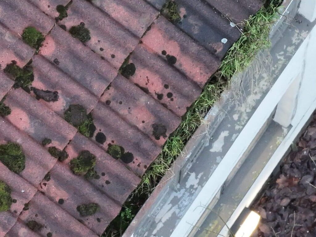 tukkeutunut sadevesijärjestelmä aiheuttaa merkittävää vahinkoa